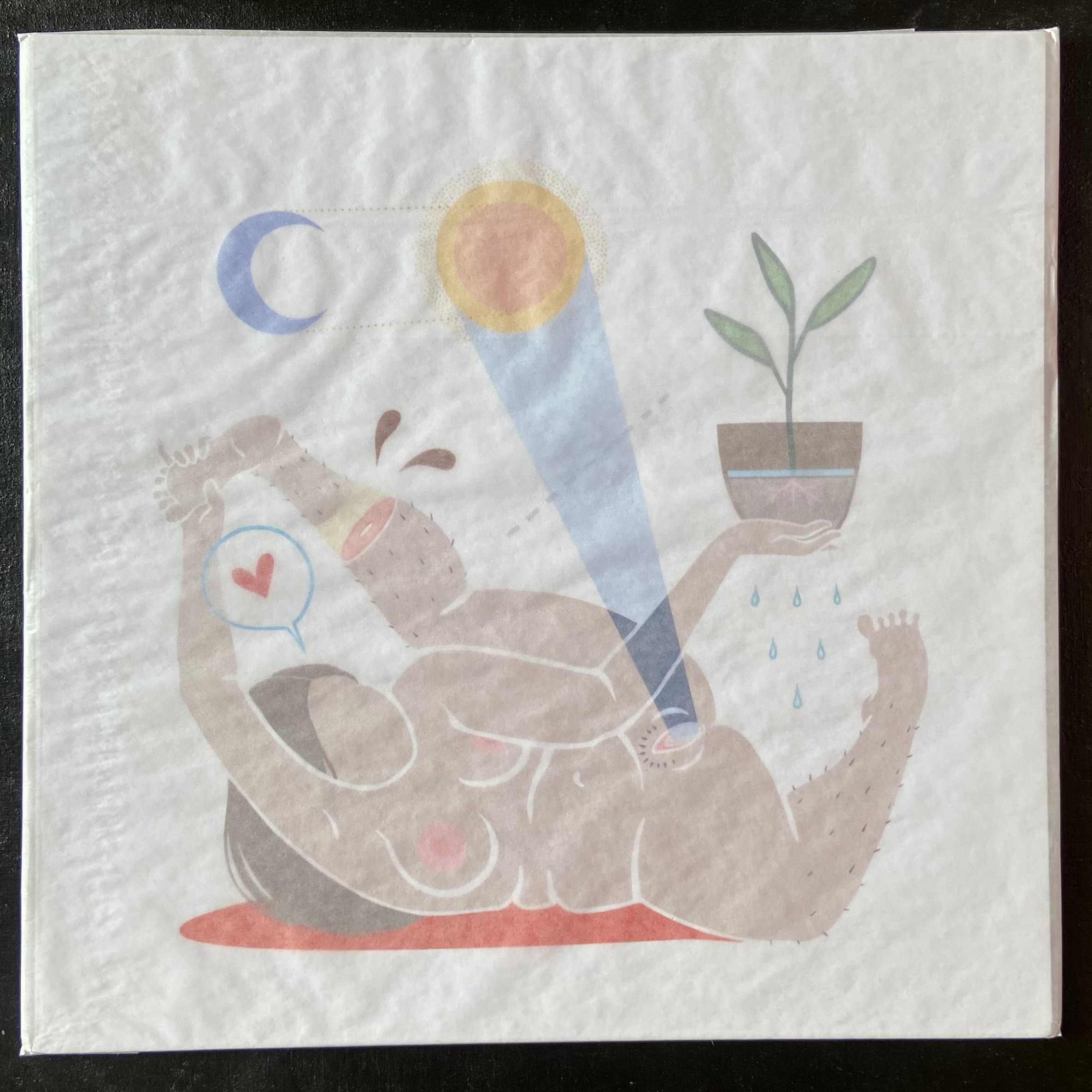 Prints Variés - bad taxidermy