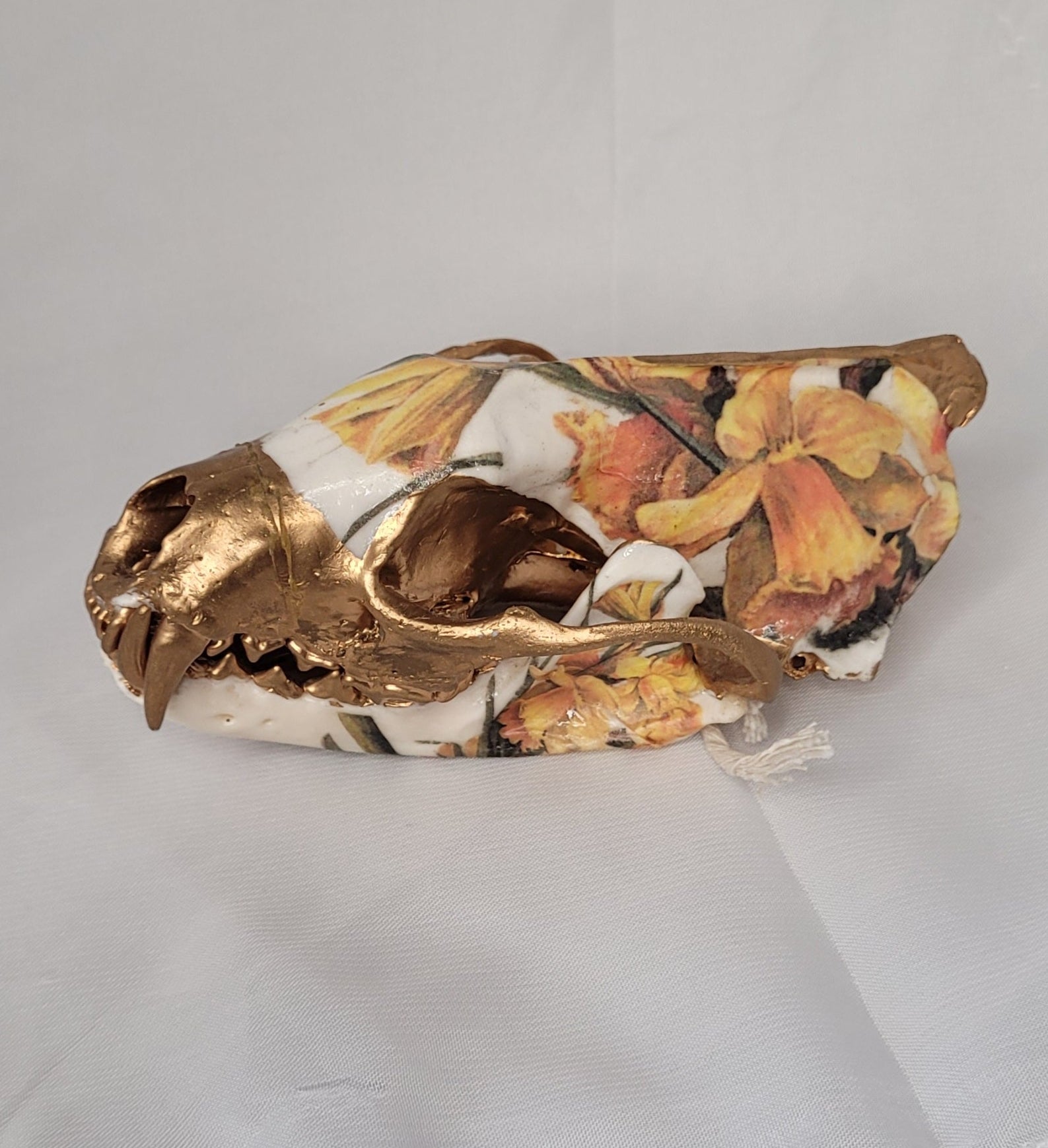 Crane - pekan jonquille - Skull