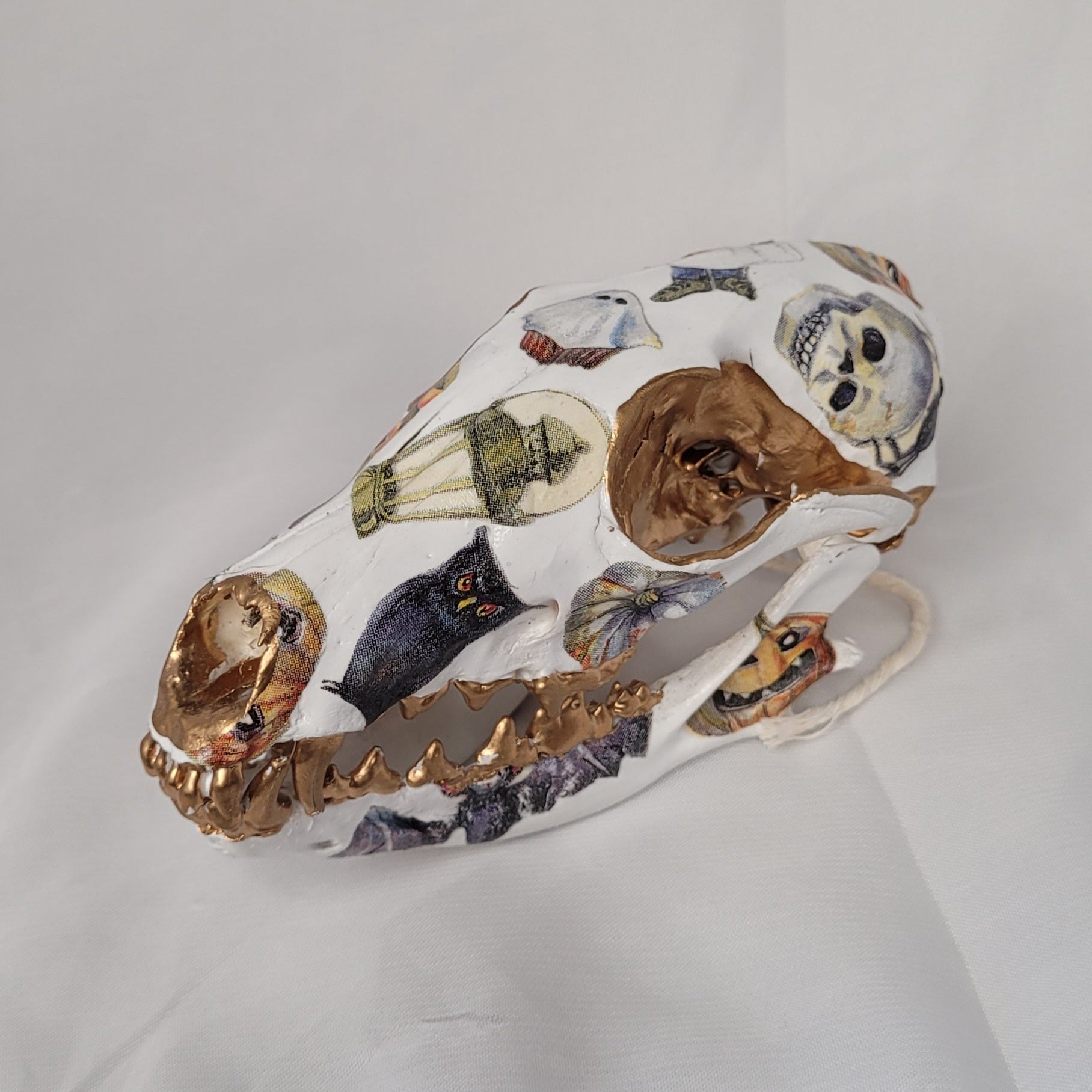 Crane - renard - Skull