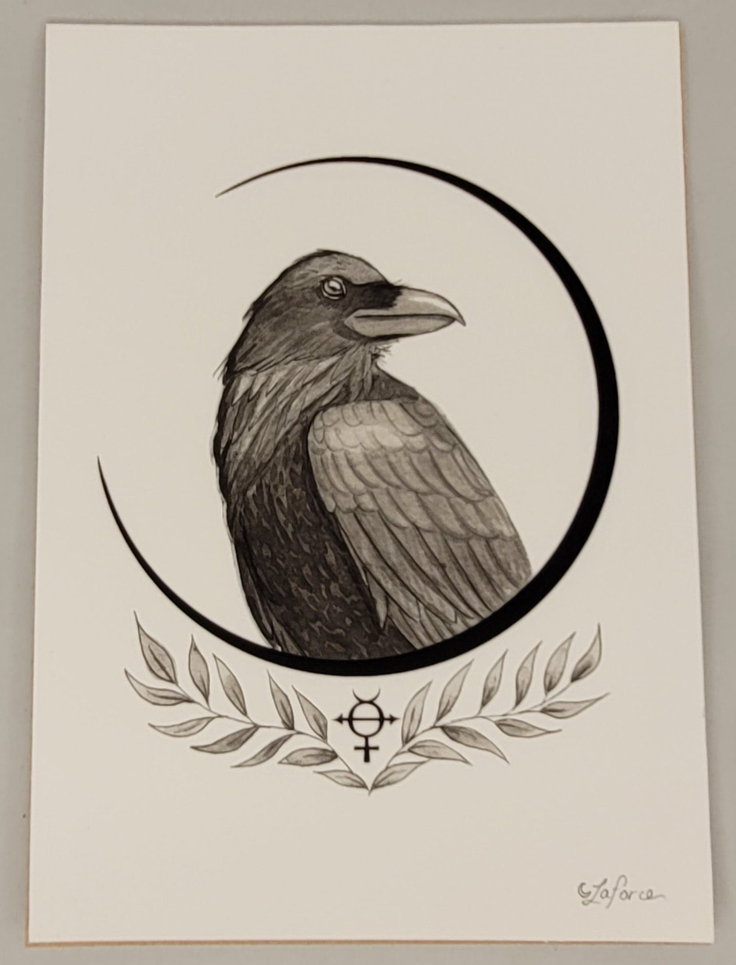Imprime 5x7 - Corbeau - Print