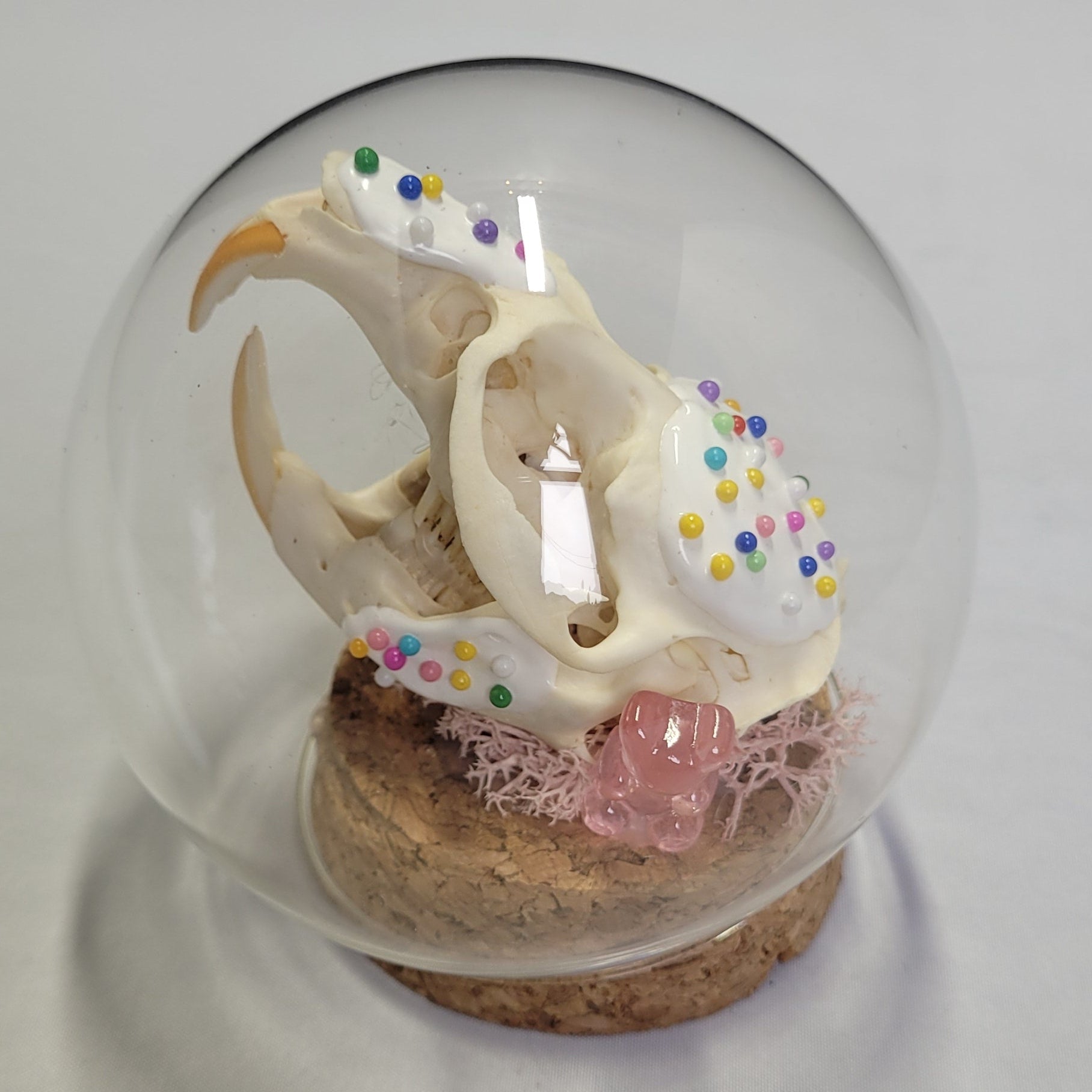 Délicieux Rat Musqué Pépites de bonbon et Ourson - Delicious Muskrats Birthday Cake Sprinkles and gummybear