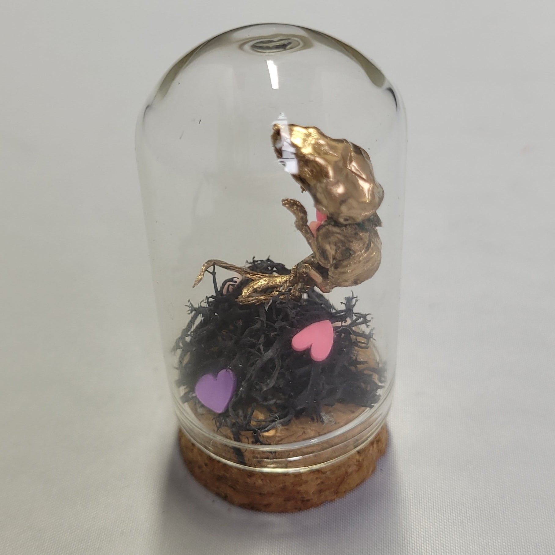 Squelette Souris avec Coeurs Variés Dome Cloche Verre - Various Mice Skeleton with Hearts