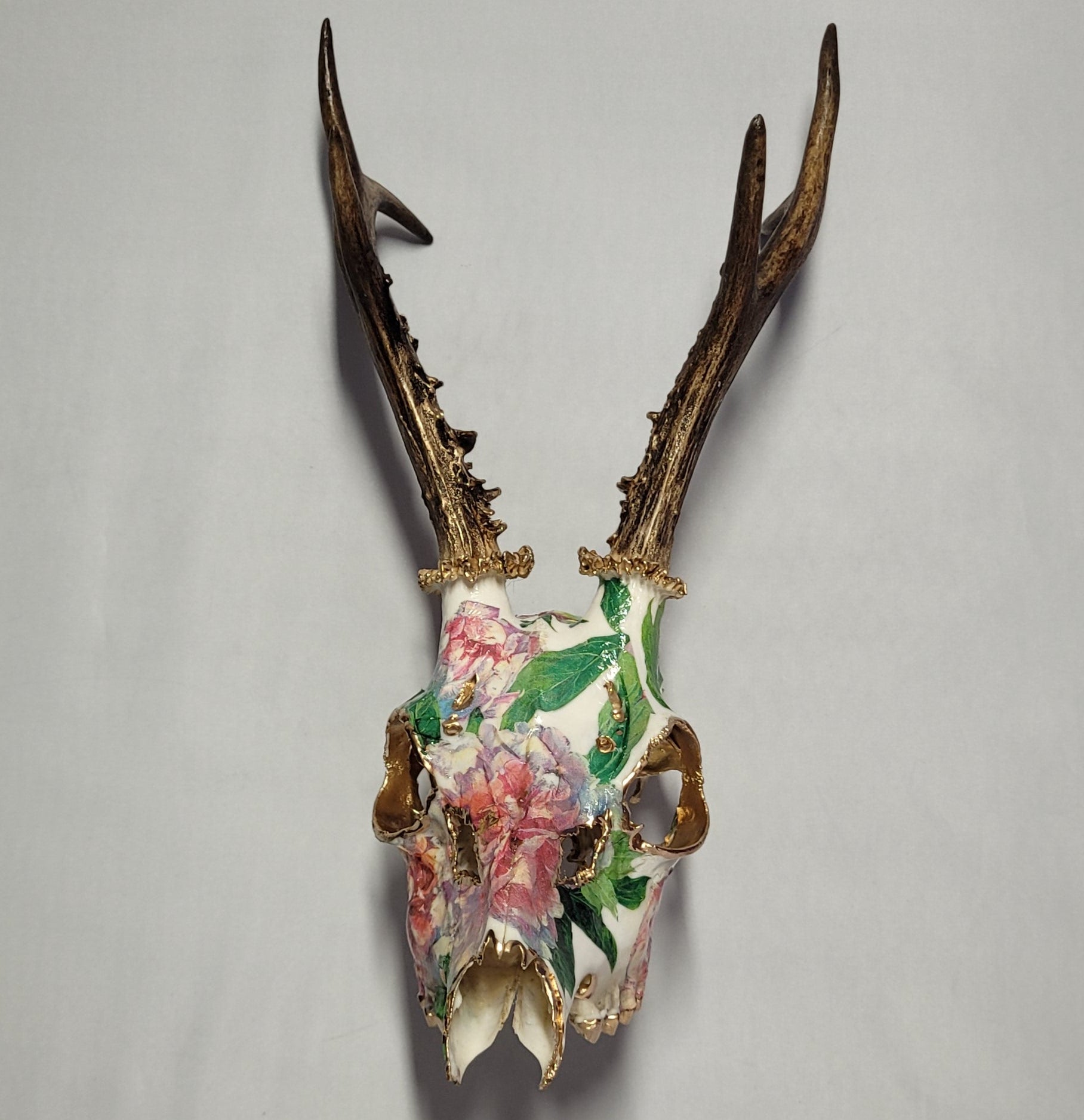 Crâne Renne Européen avec Pivoines Rose et Vert - European Reindeer Skull with Peonies Pink and Green