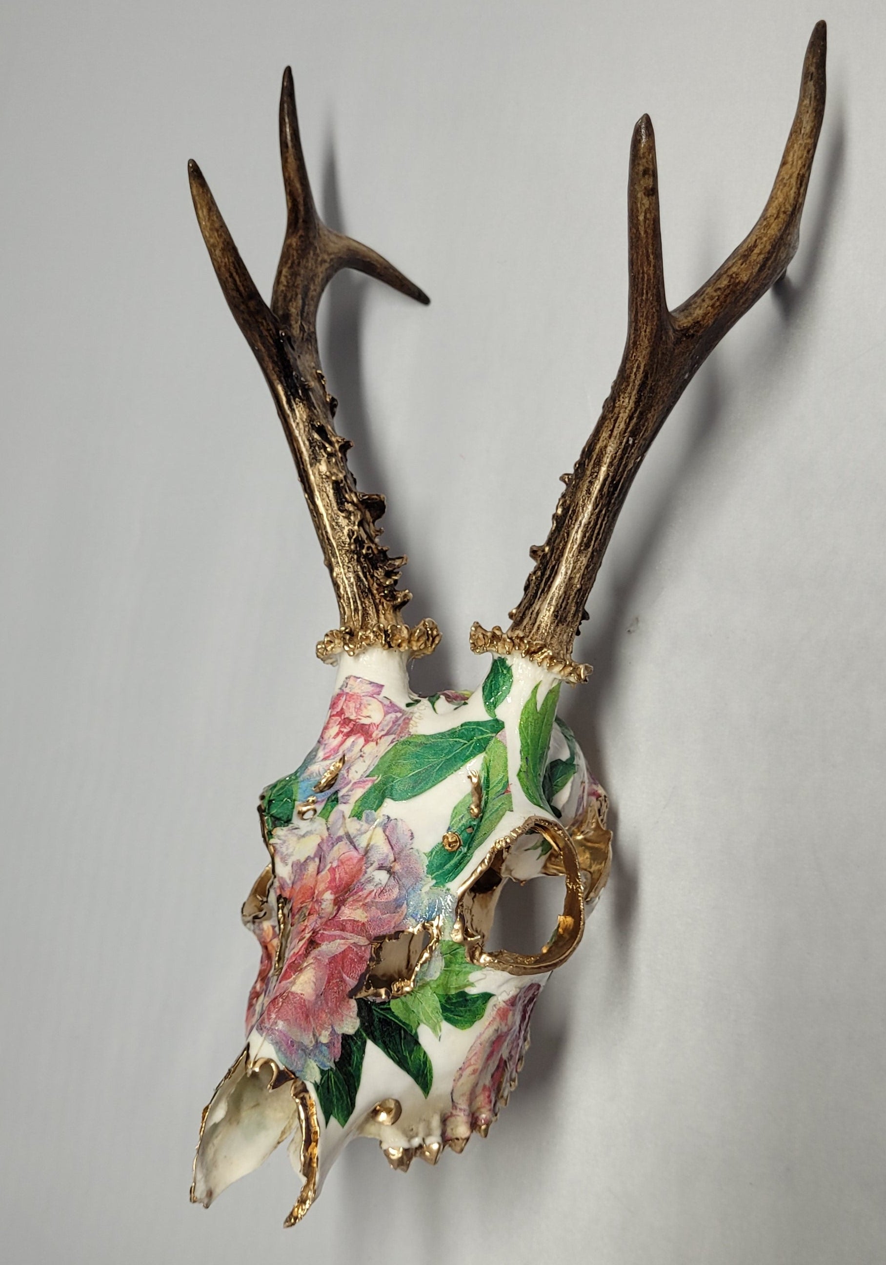 Crâne Renne Européen avec Pivoines Rose et Vert - European Reindeer Skull with Peonies Pink and Green