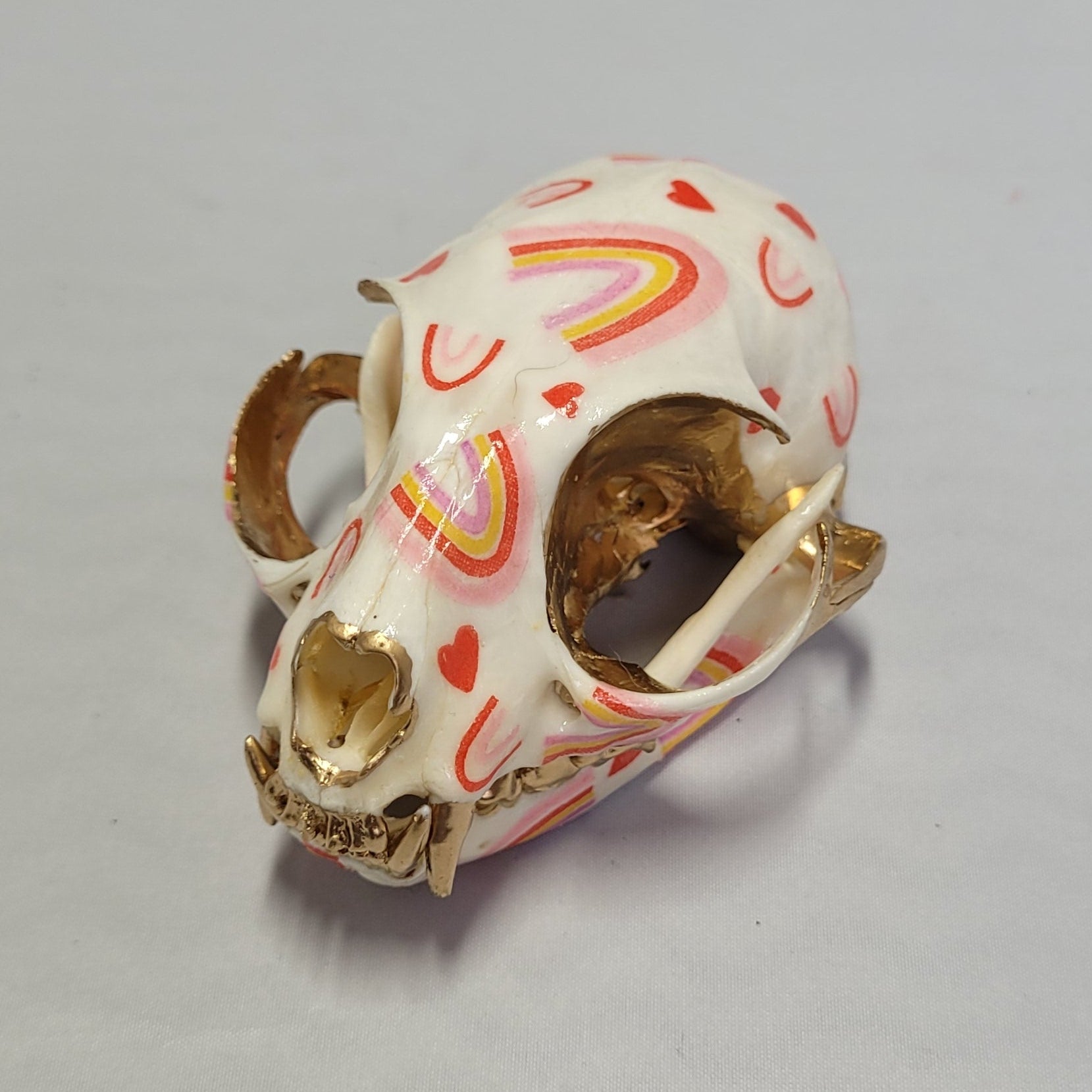 Crâne de Chat avec Arc-en-ciel Rose - Cat Skull with Pink Rainbows