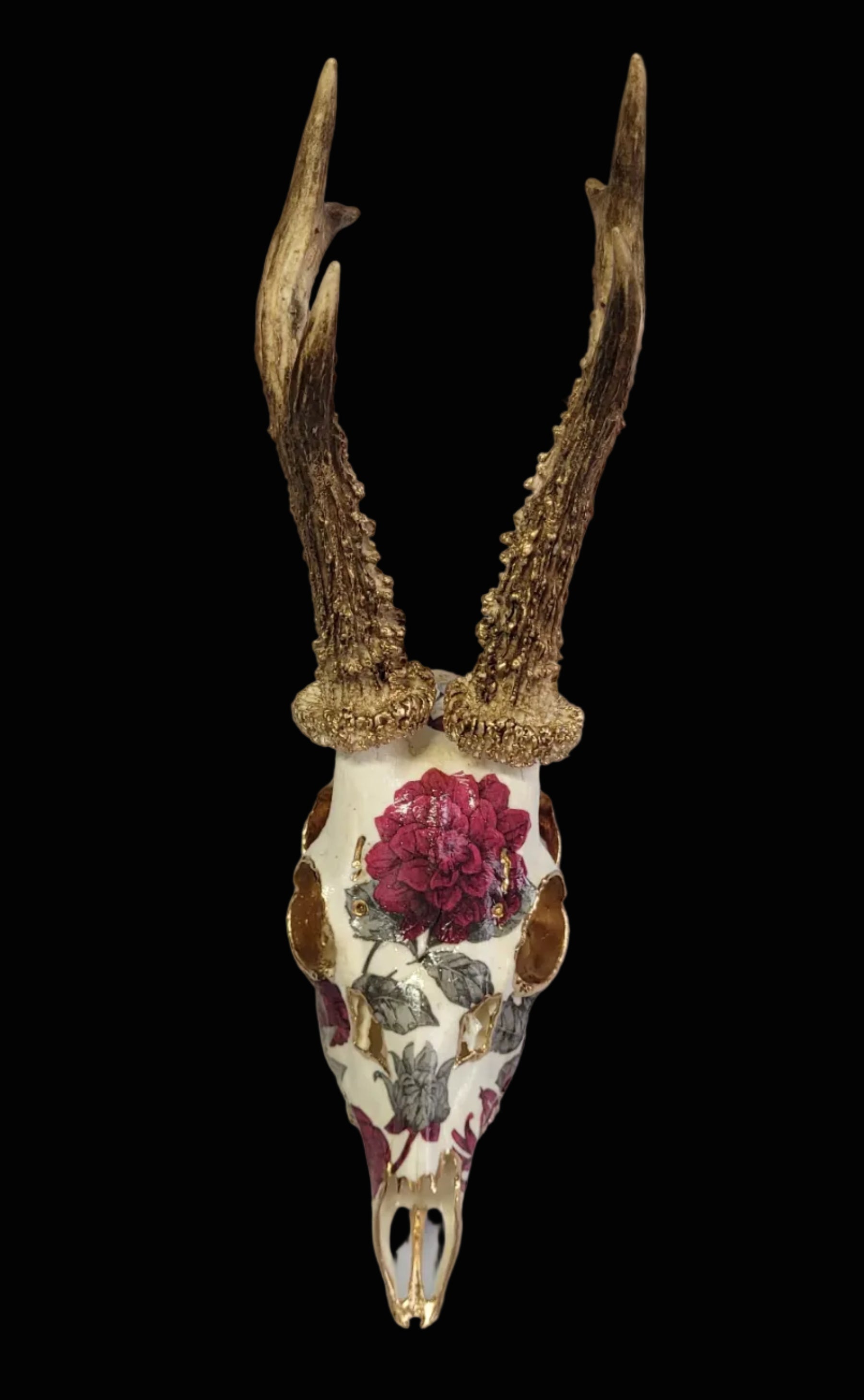 Crâne Renne Européen avec Roses Sauvages Rose foncé et Gris - European Reindeer Skull with Wild Roses Deep Pink & Gray