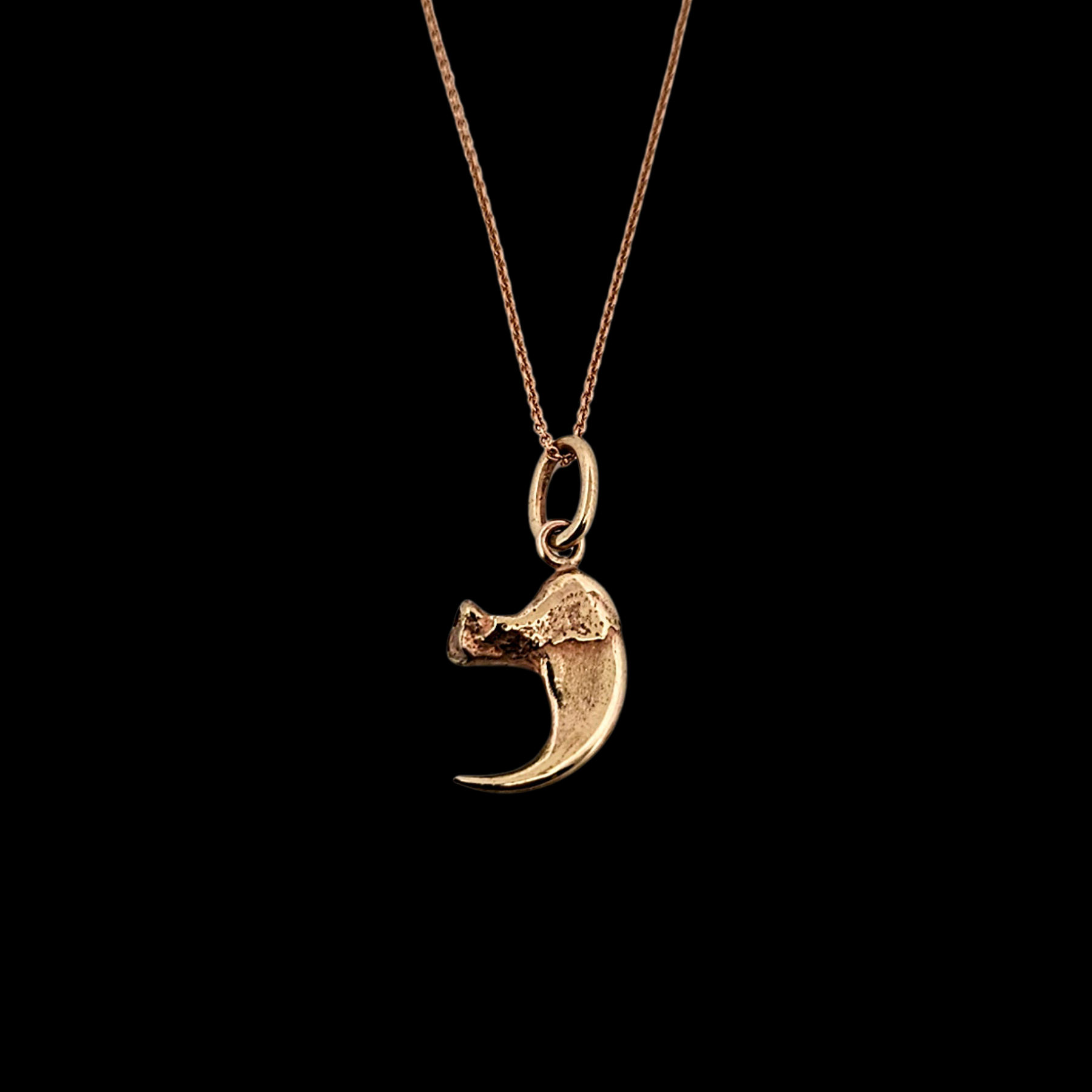Cat Claw Pendant - Gold Options - Inchoo Bijoux