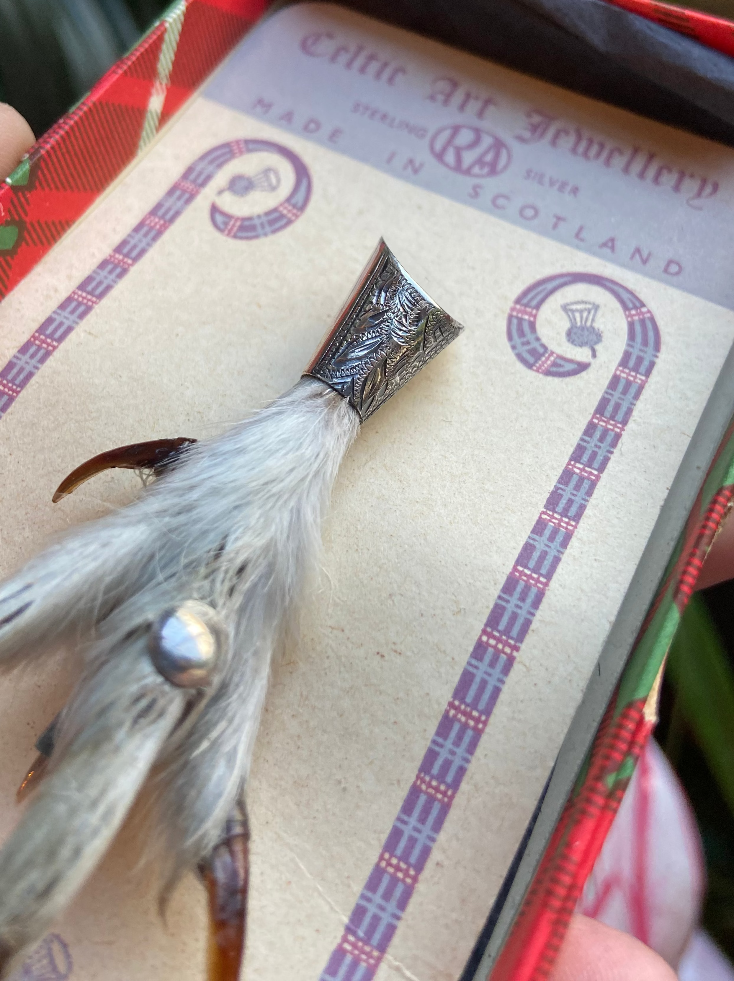 Broche taxidermie patte oiseau -Bird feet Taxidermy brooche - Sterling Silver