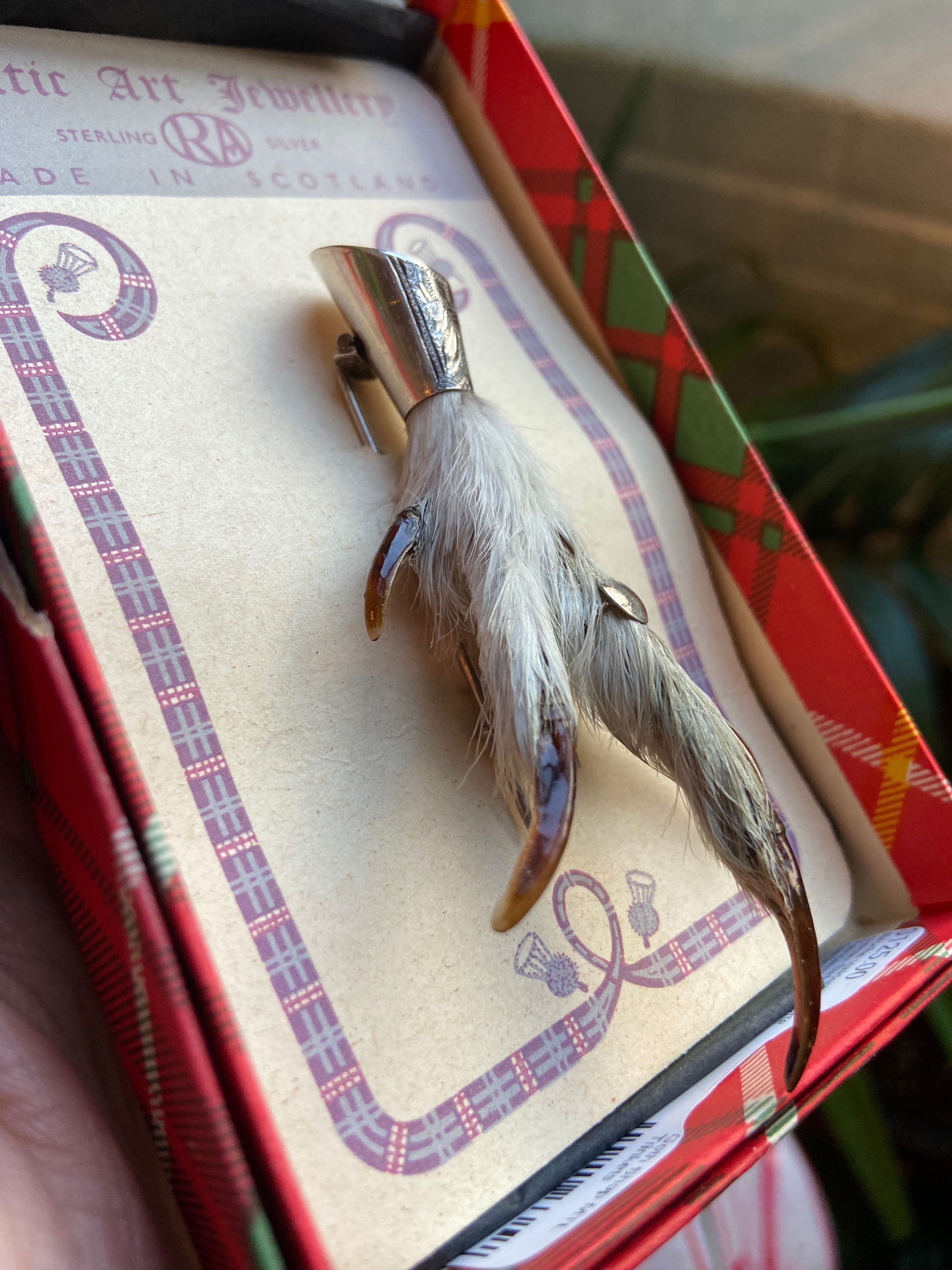 Broche taxidermie patte oiseau -Bird feet Taxidermy brooche - Sterling Silver