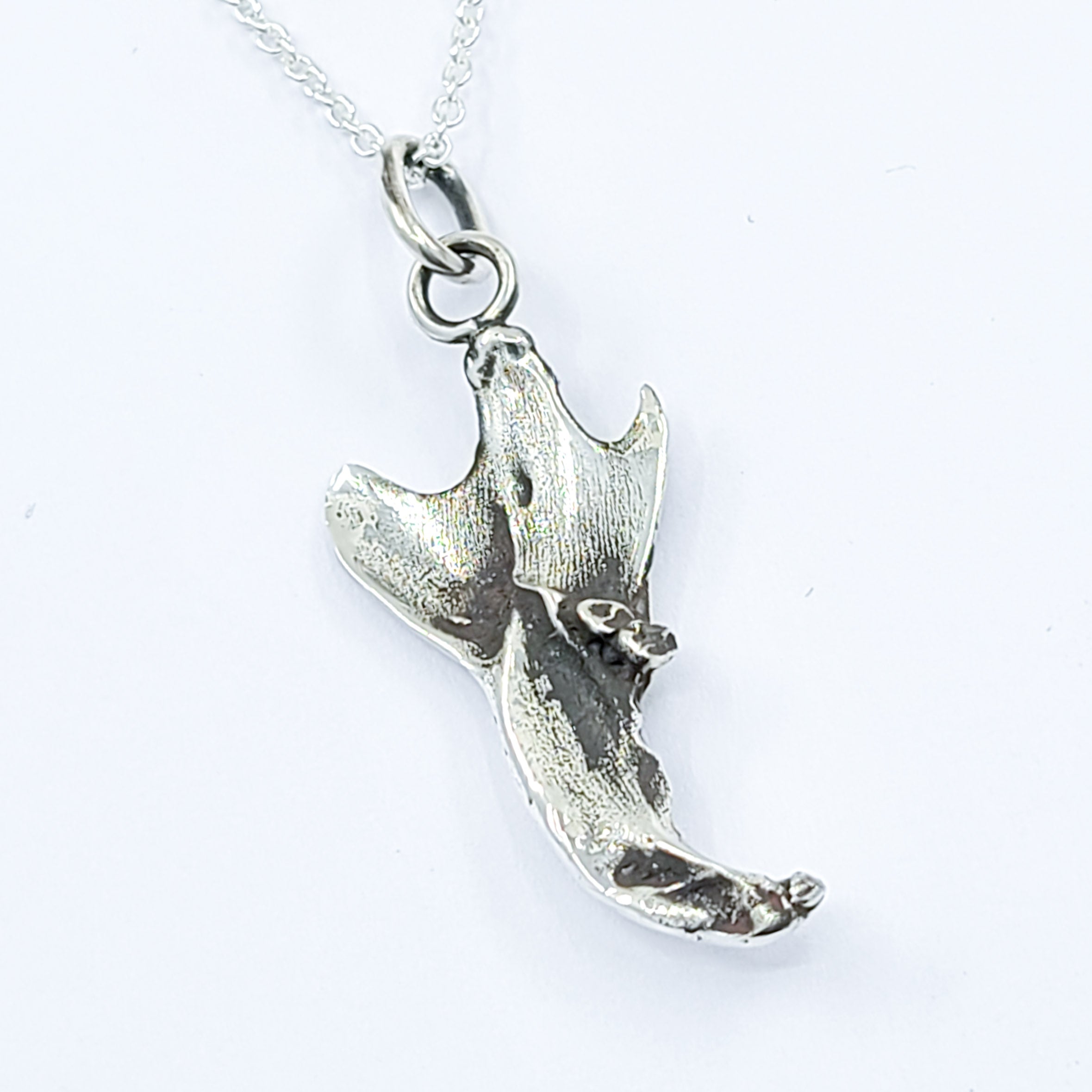 Small Squirrel Jaw Bone Pendant