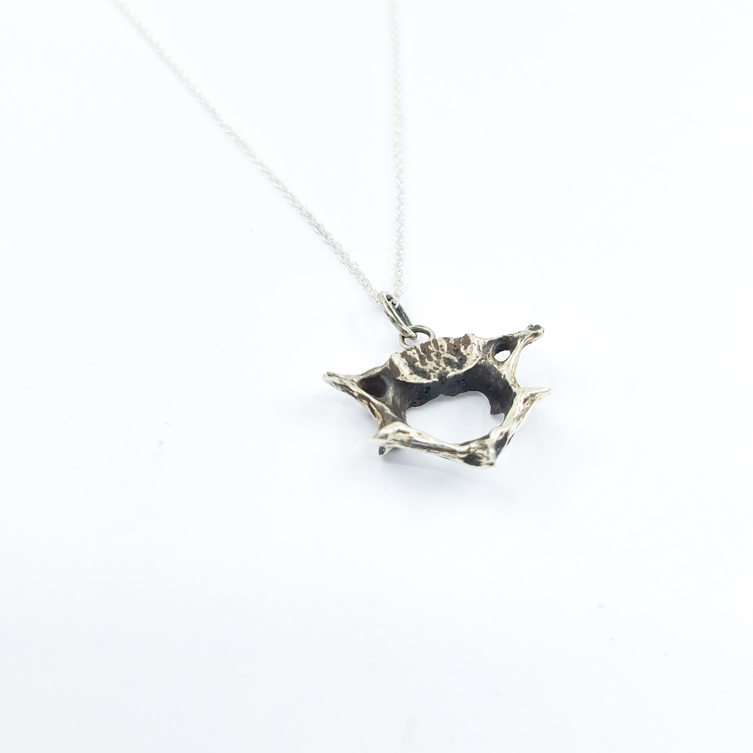 Vertebrea Pendant