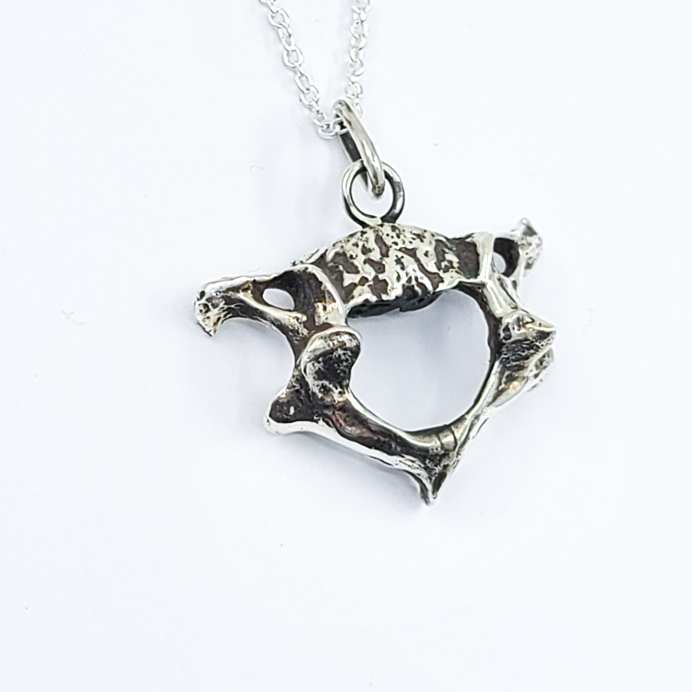 Vertebrea Pendant