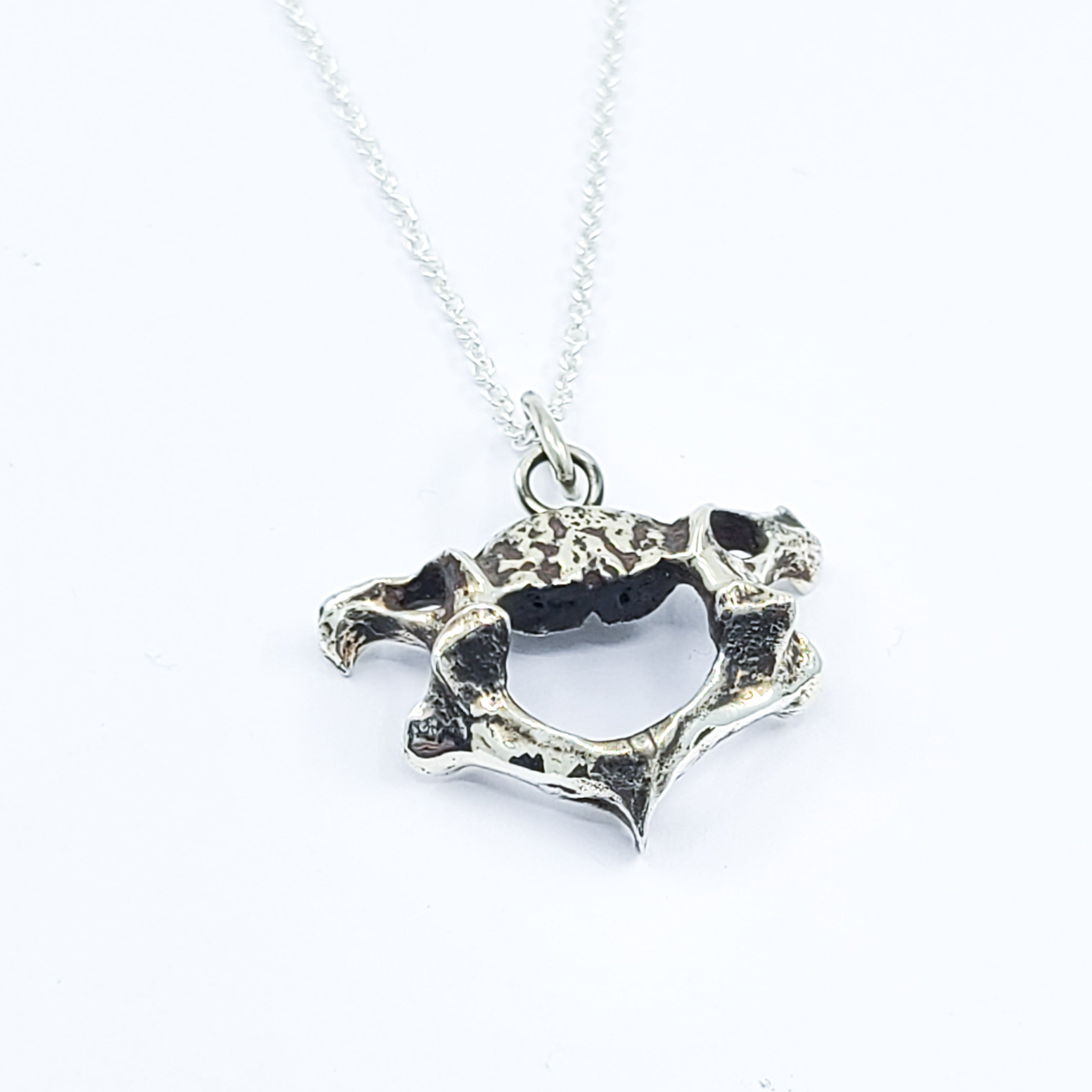 Vertebrea Pendant