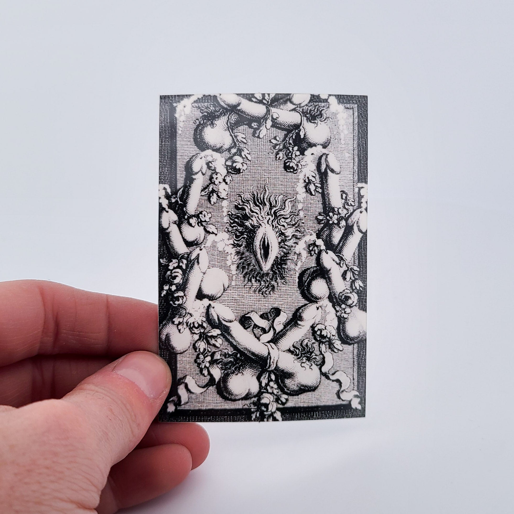 Pussy Power - Marquis de Sade Vinyl Sticker