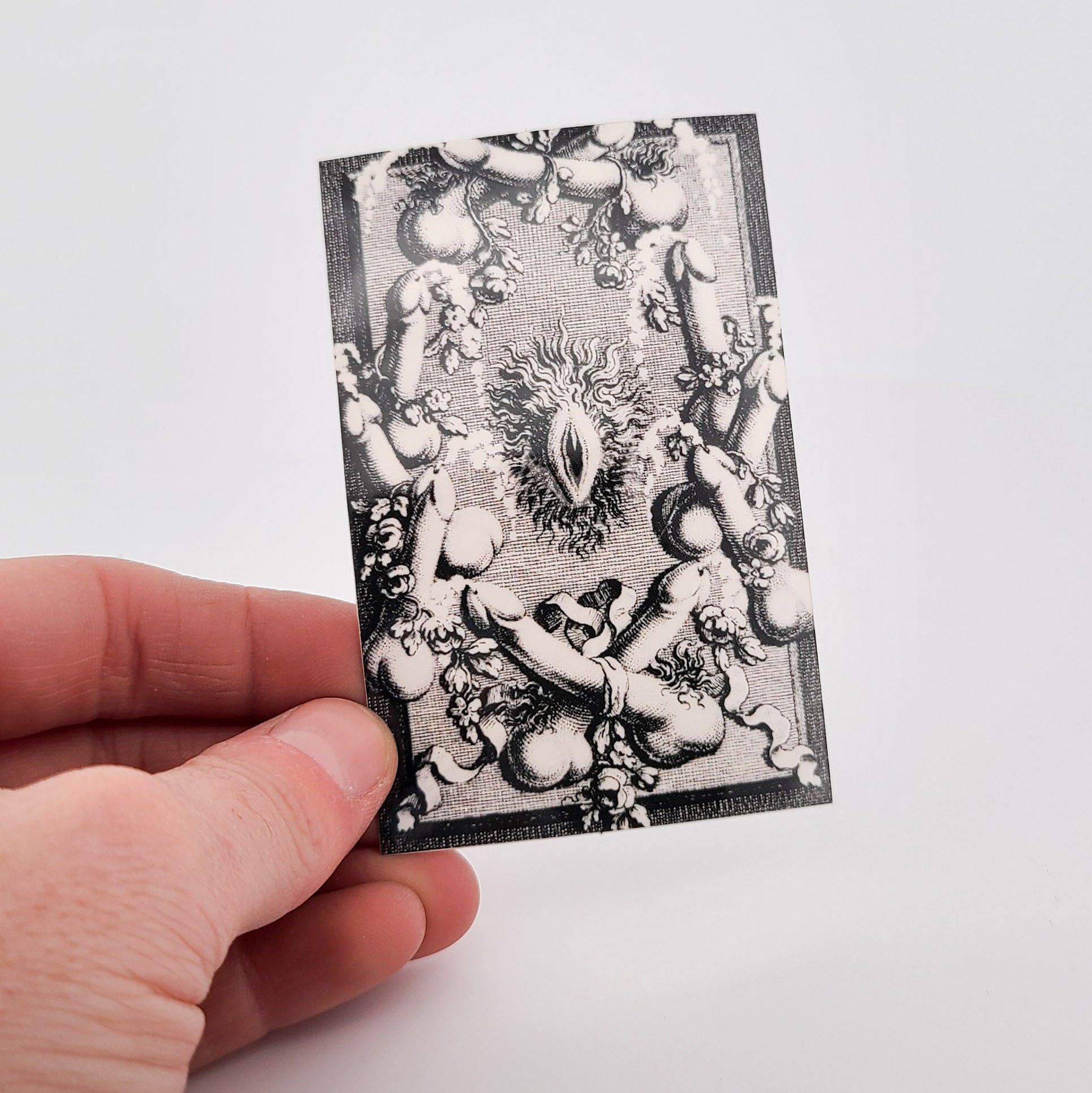Pussy Power - Marquis de Sade Vinyl Sticker