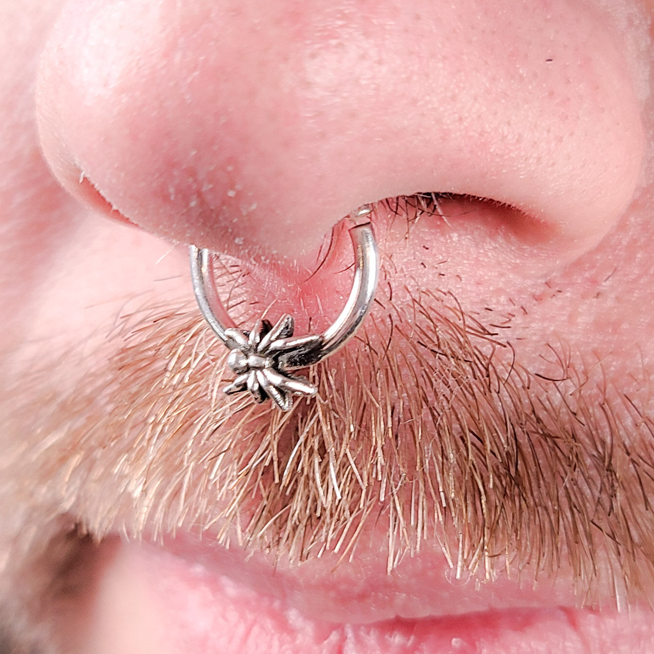 Tiny Spider Septum Piercing - Inchoo Bijoux