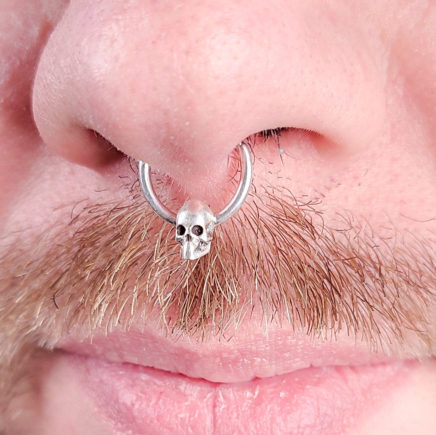 Minimal Skull Septum Ring - Inchoo Bijoux
