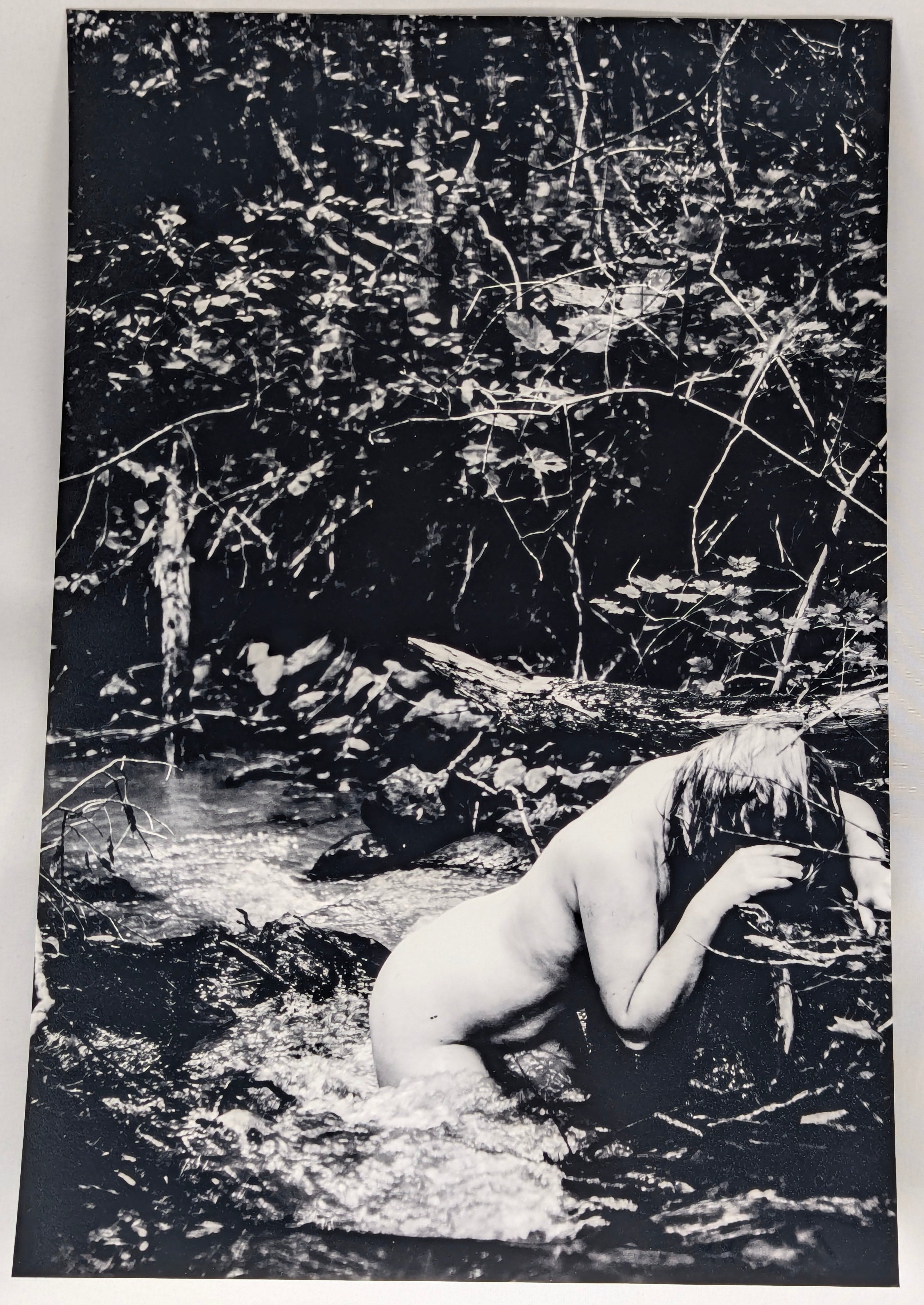 Imprime - 8x12 - Print