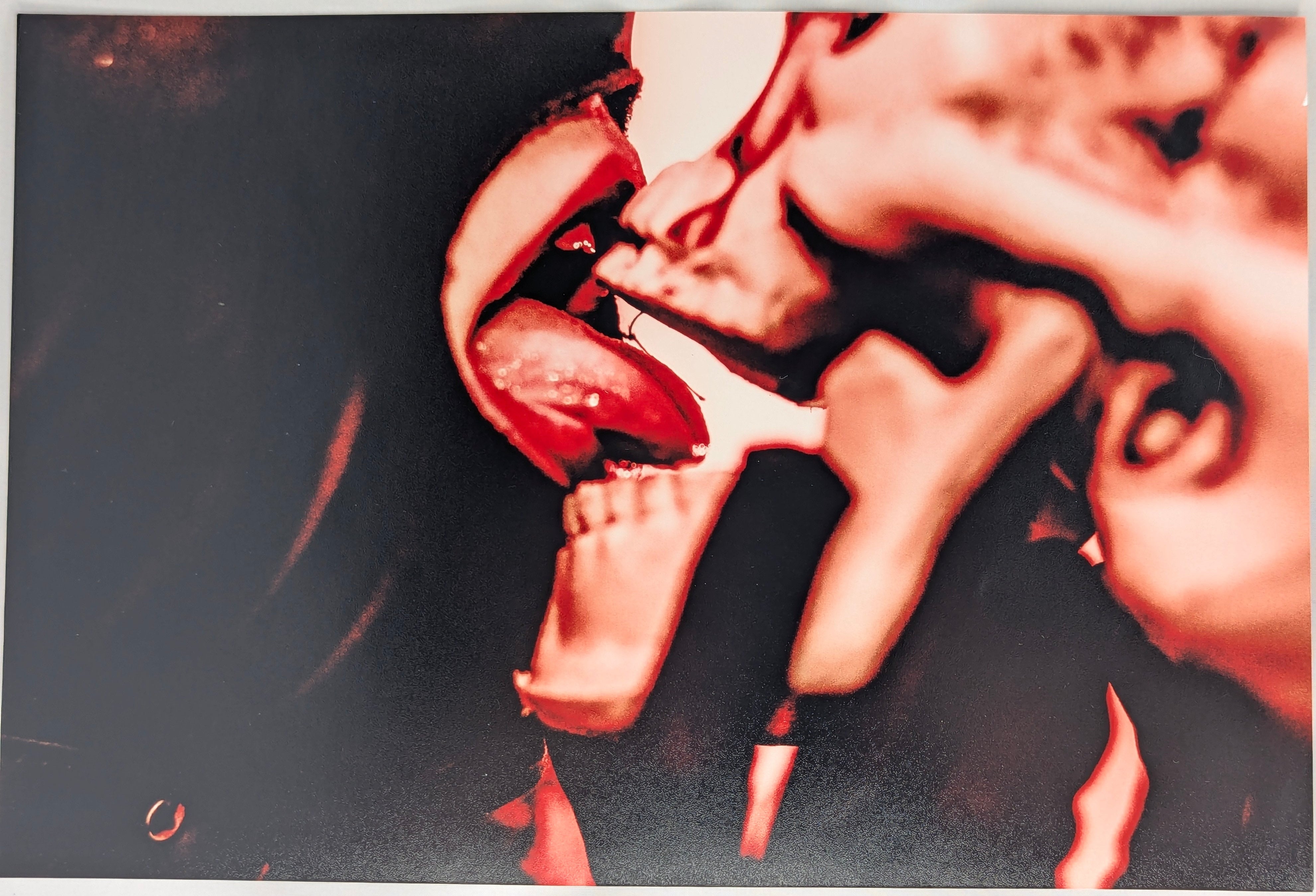 Imprime - 8x12 - Print