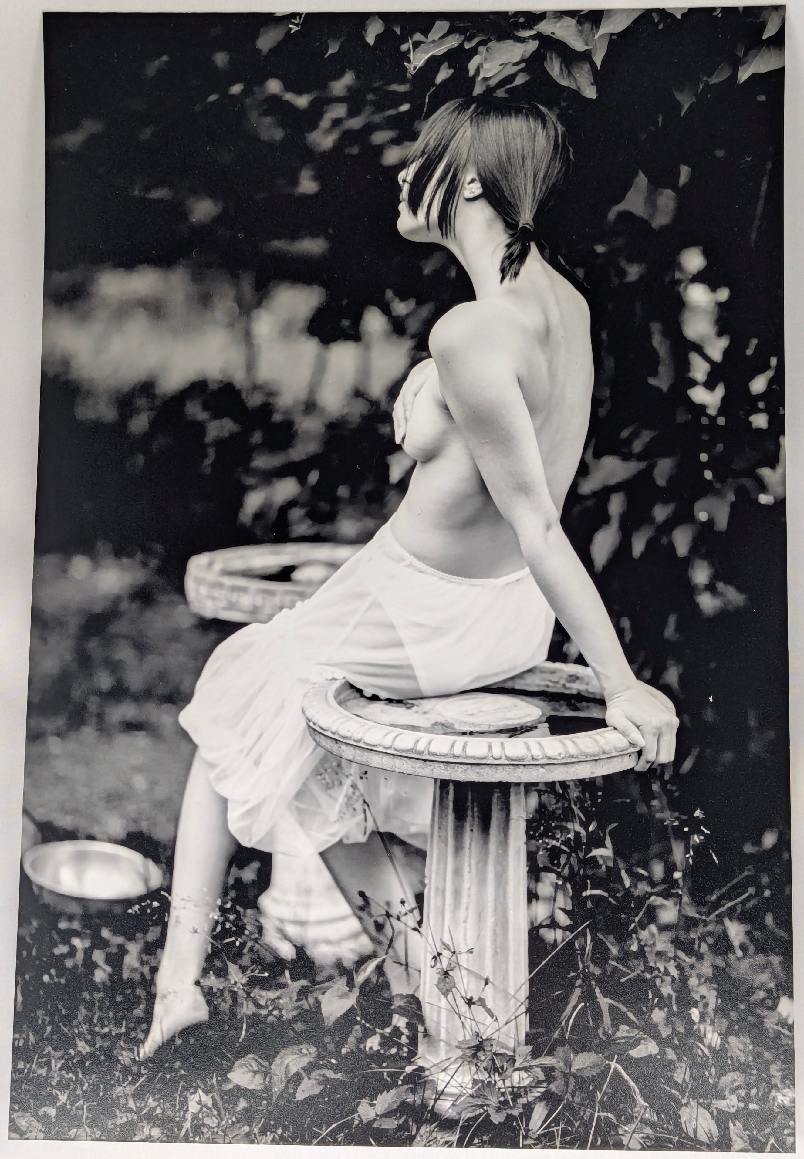 Imprime - 8x12 - Print