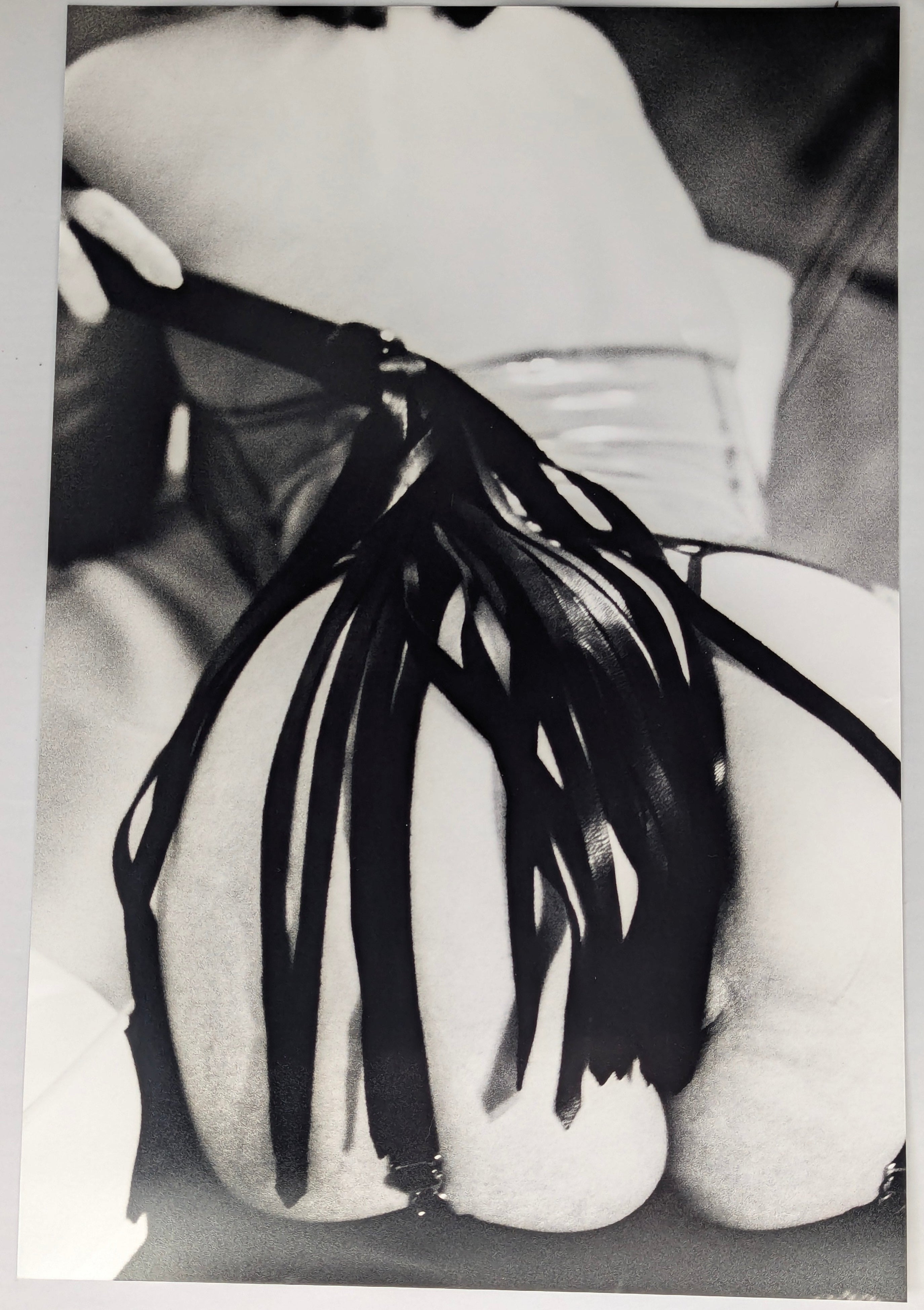 Imprime - 12x18 - Print