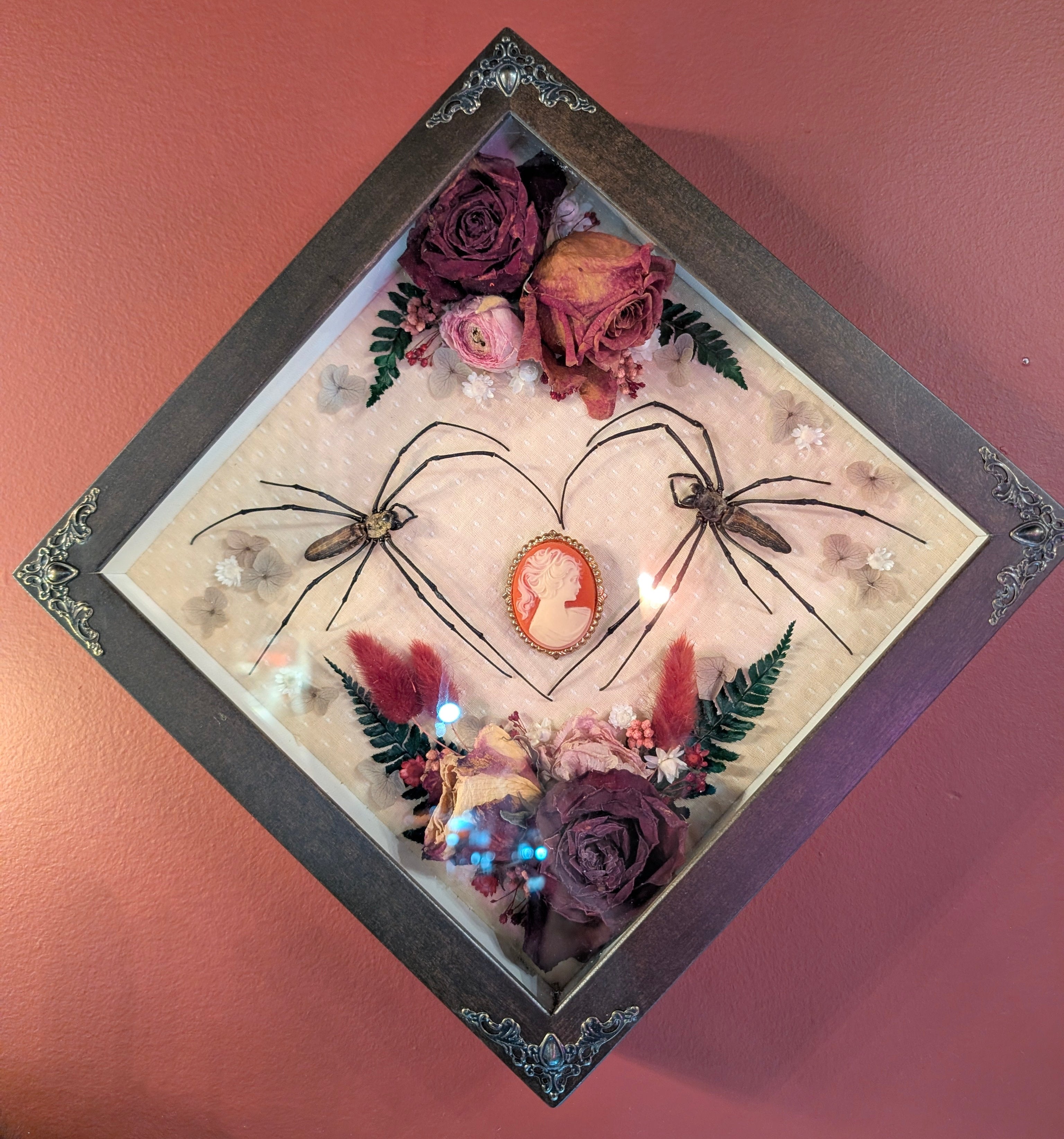 Taxidermy Frame - Orb Weavers in a Heart