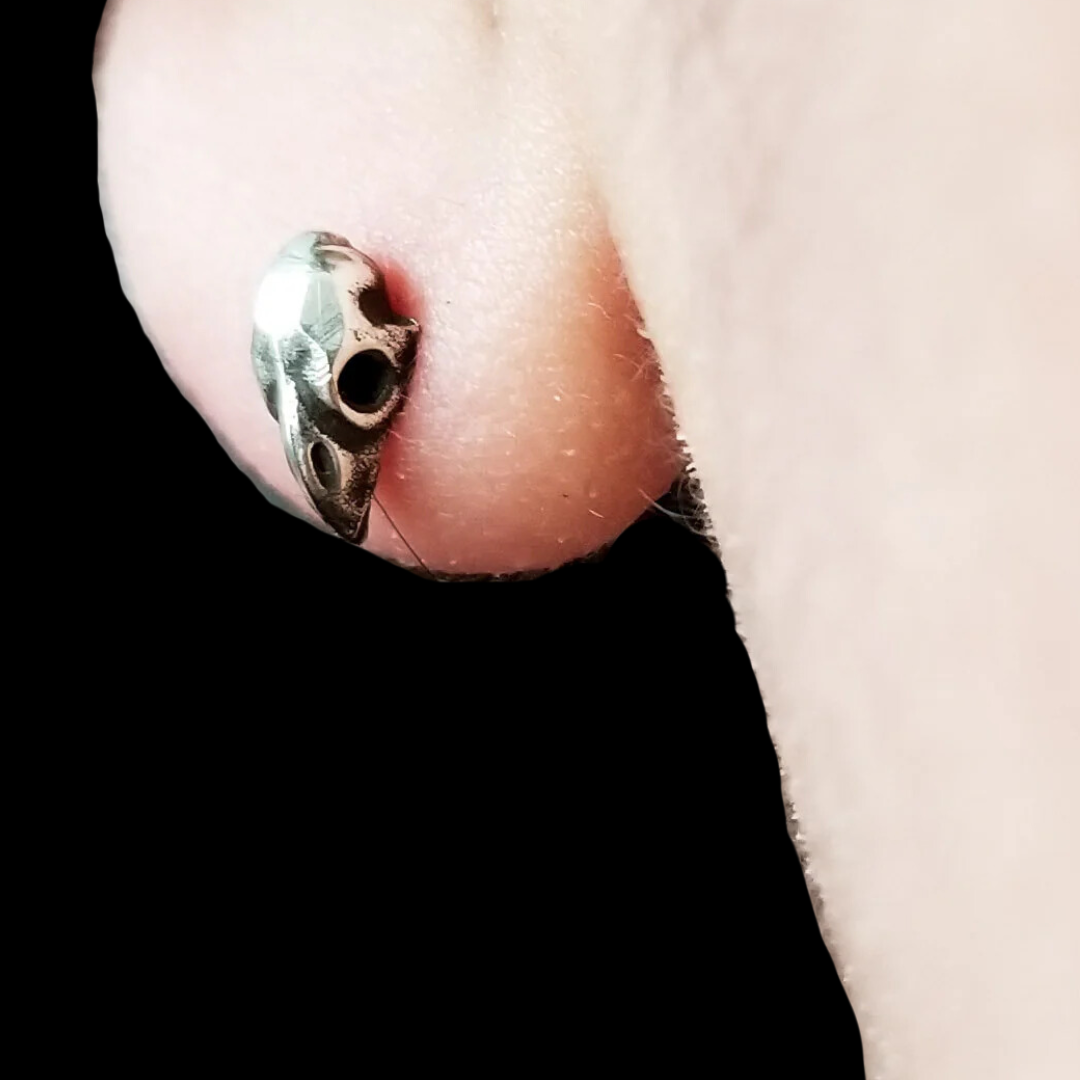 Tiny Bird Skull Earrings - Inchoo Bijoux