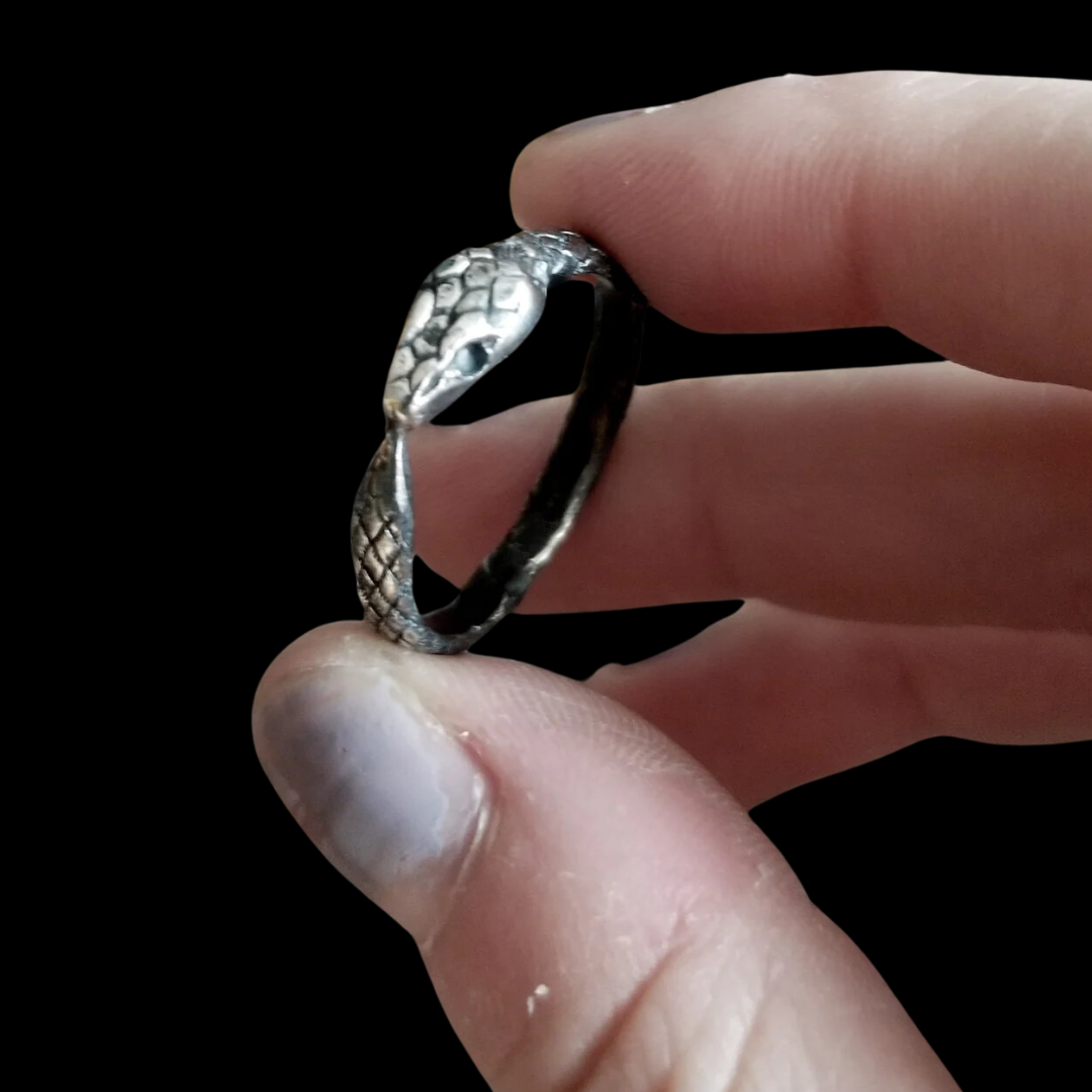Ouroboros Snake Ring - Inchoo Bijoux