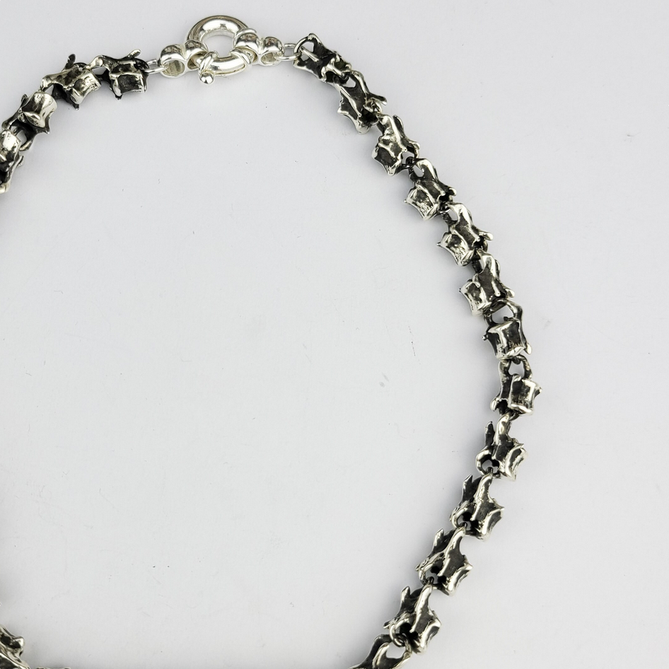 Thin Vertebrae Chain, Spine Necklace, - Inchoo Bijoux