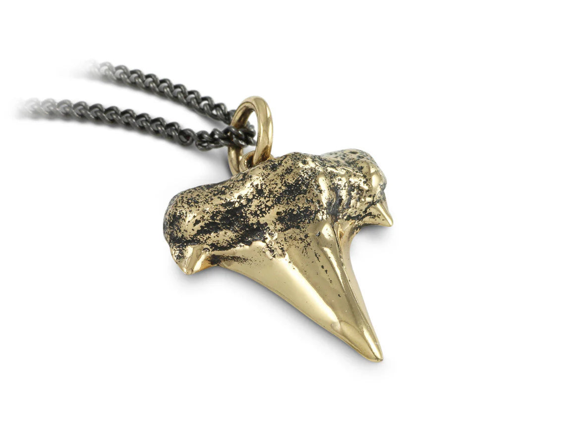 Pendentif -Shark tooth bronze - Pendant