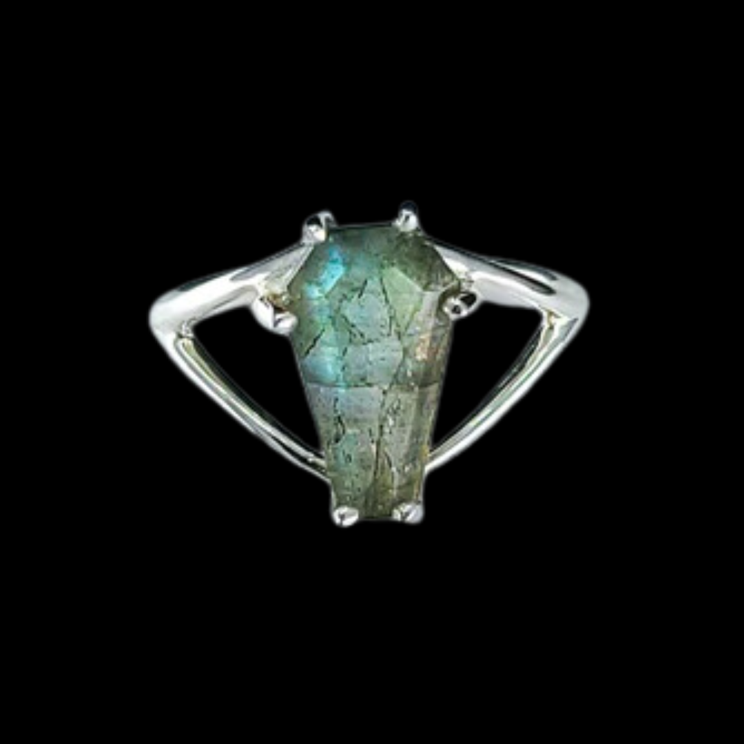 Big Labradorite Coffin Ring - Inchoo Bijoux