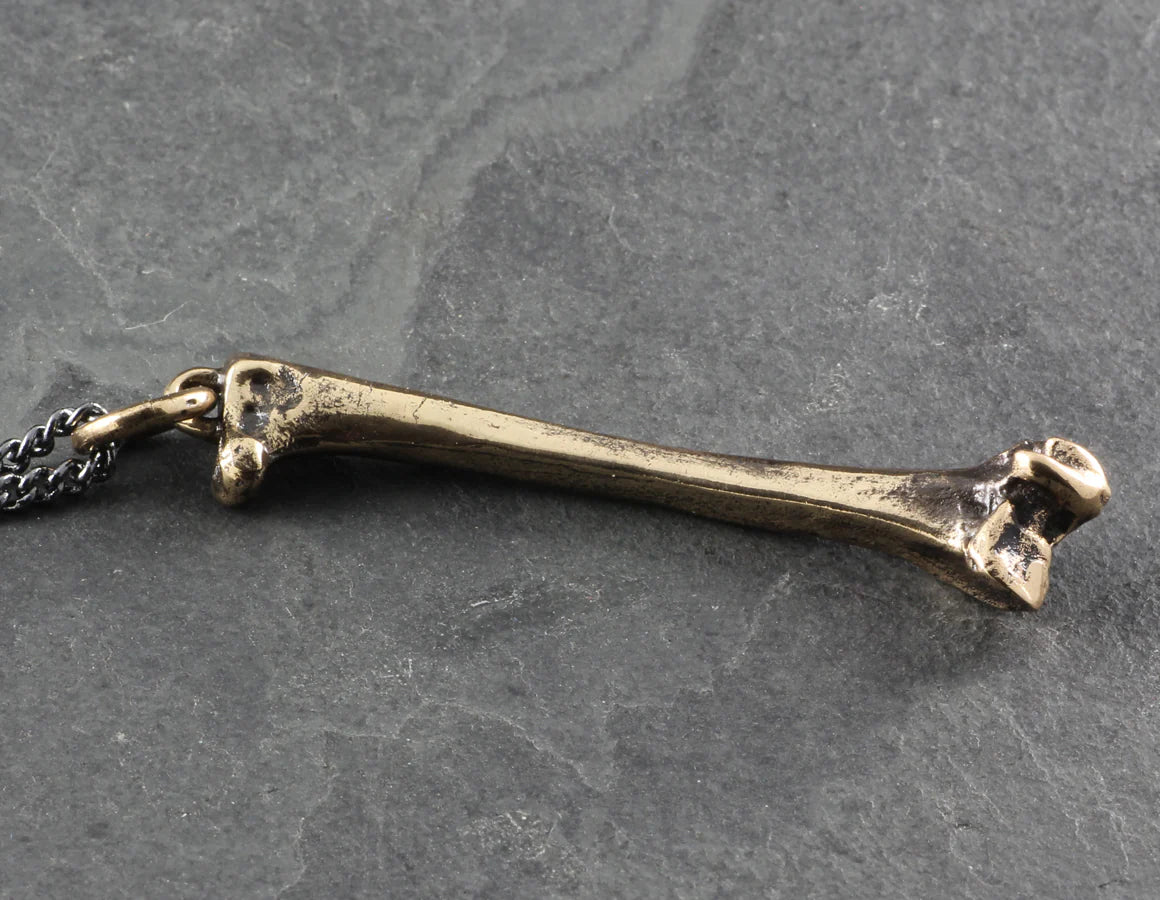 Pendentif - raven femur bone brz -Pendant