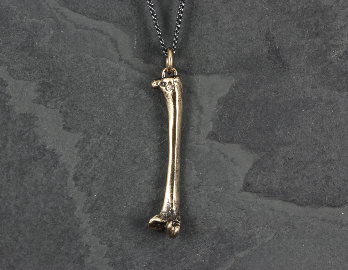 Pendentif - raven femur bone brz -Pendant