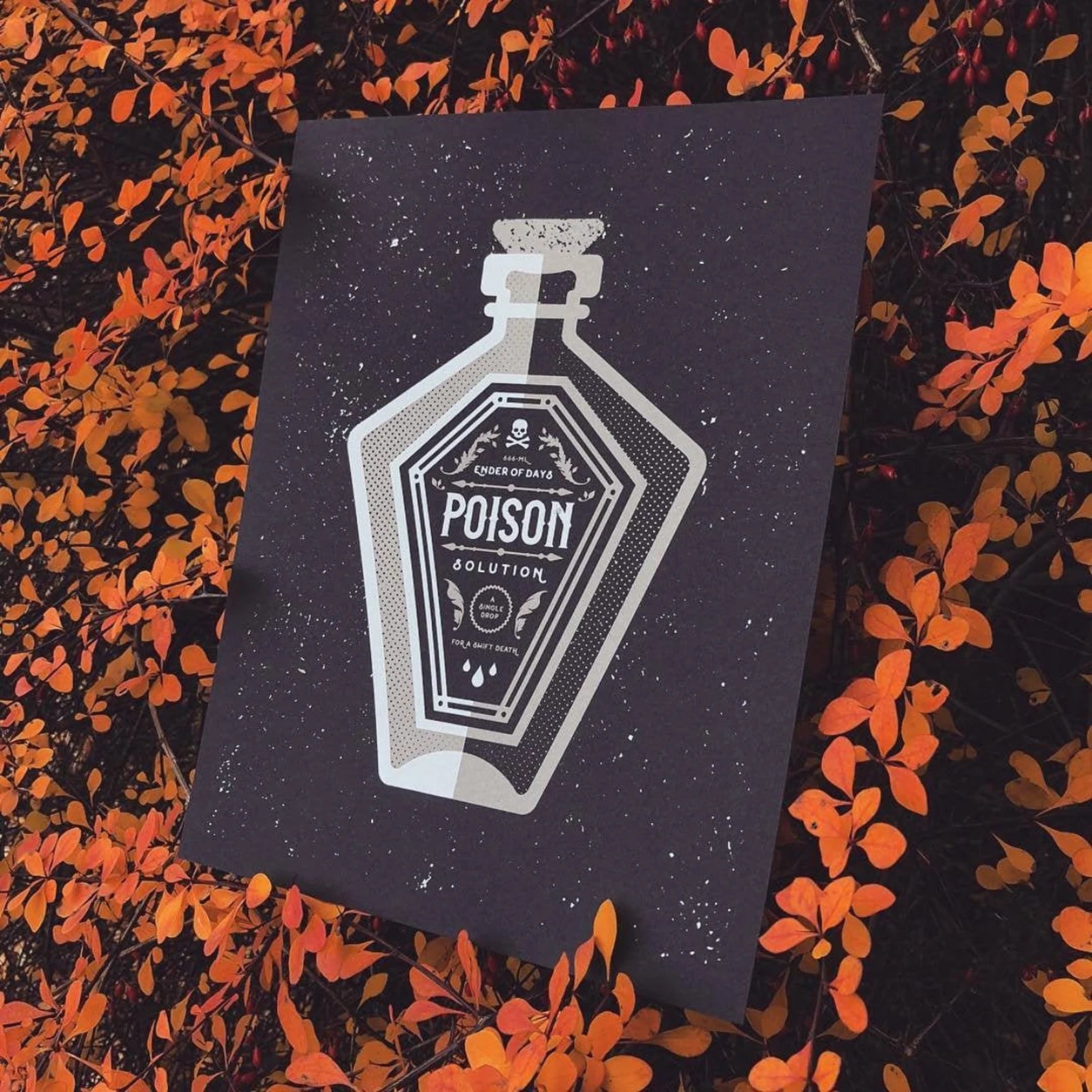 Imprime - Poison Bottle - Print 11 x 14