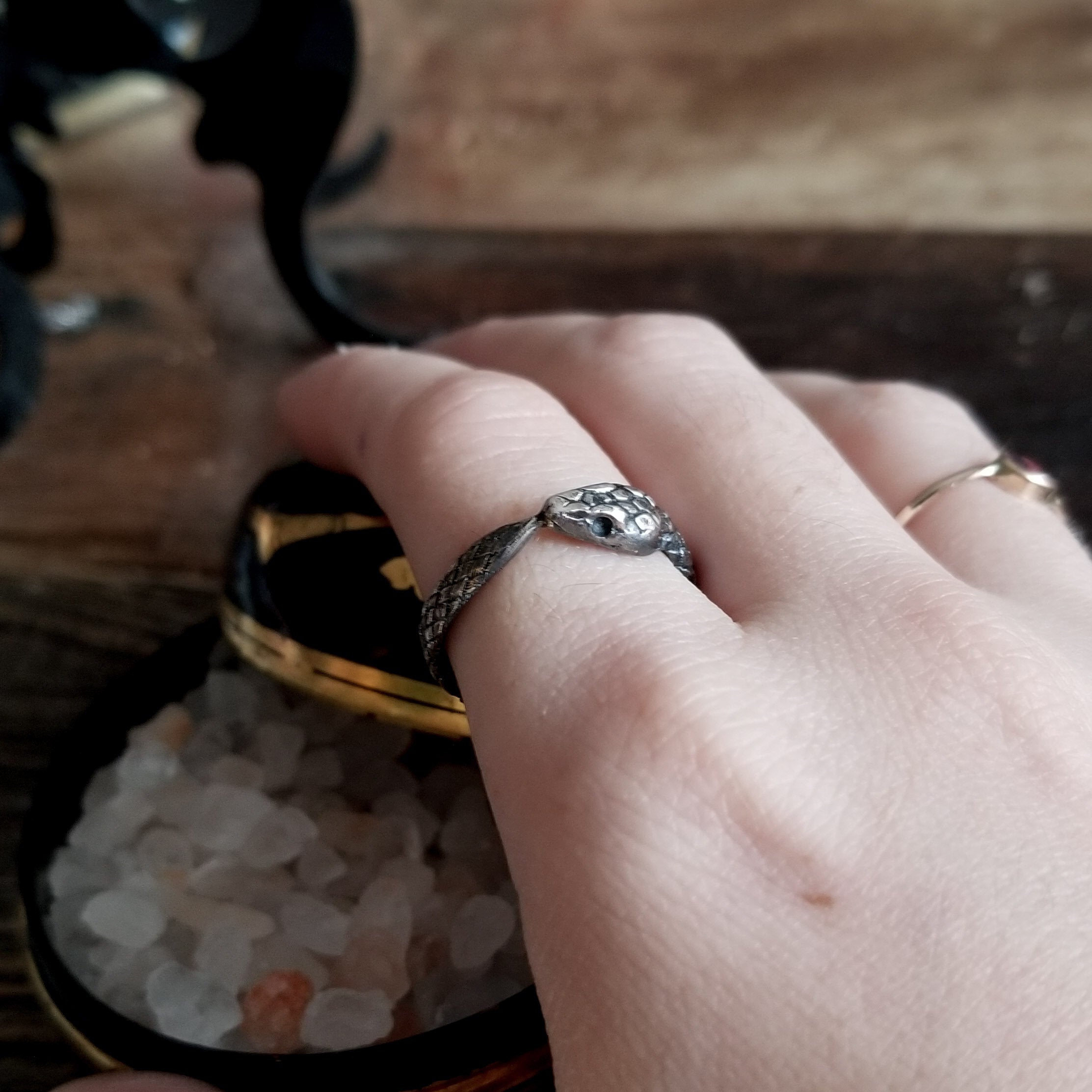 Ouroboros Snake Ring - Inchoo Bijoux