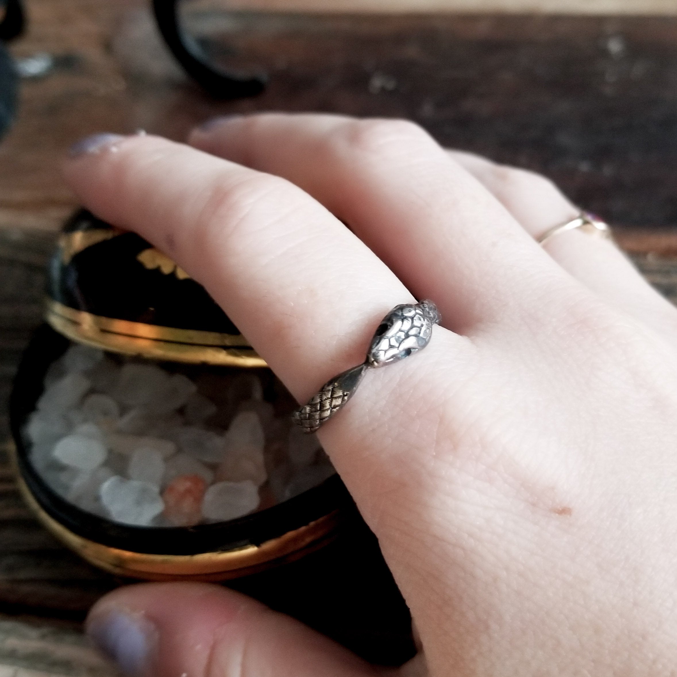 Ouroboros Snake Ring - Inchoo Bijoux