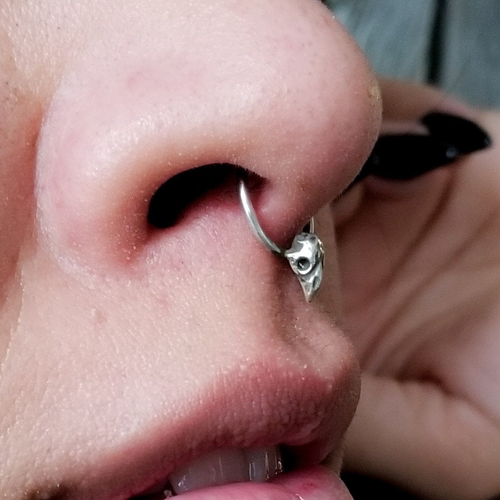 Tiny Bird Skull Septum Piercing - Inchoo Bijoux