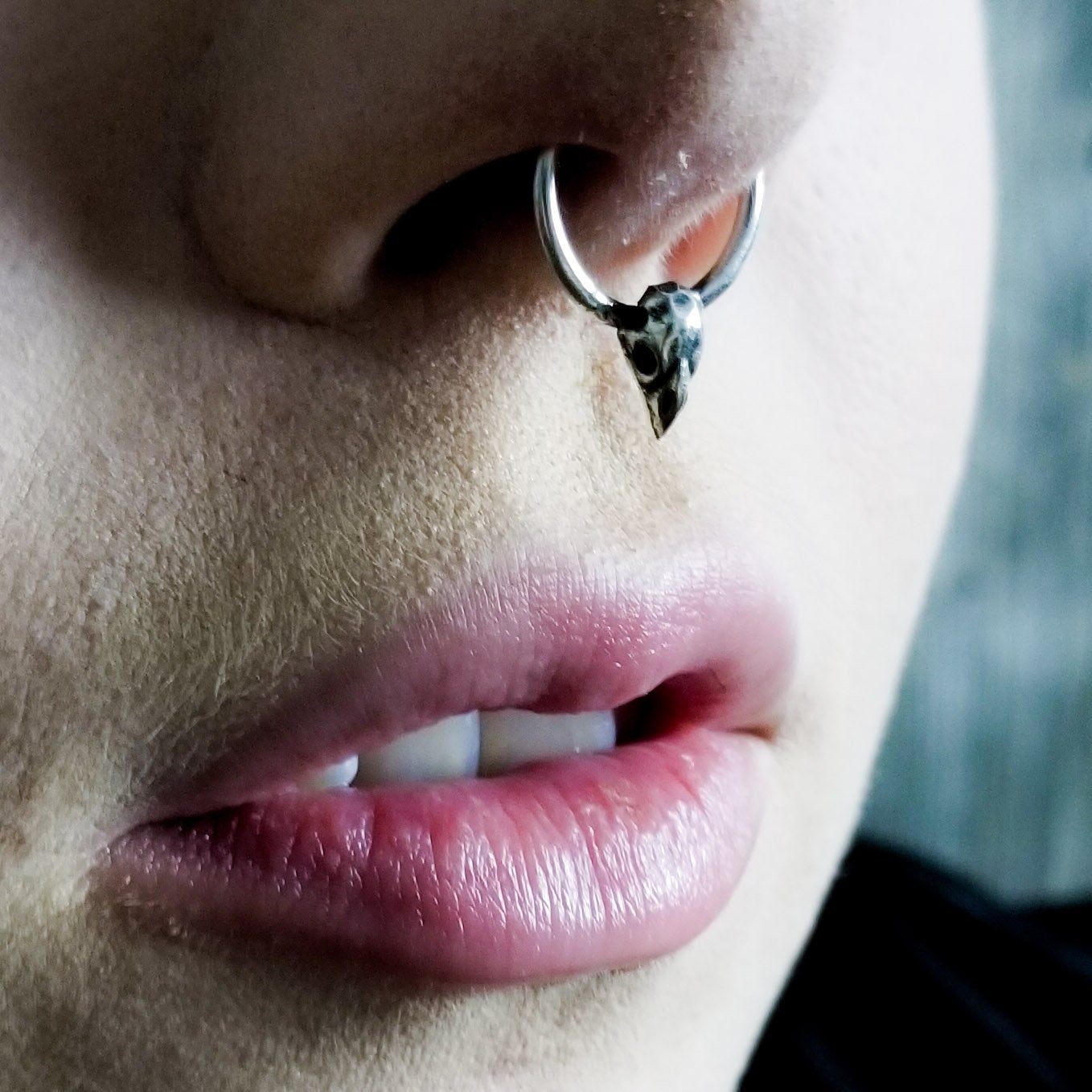 Tiny Bird Skull Septum Piercing - Inchoo Bijoux