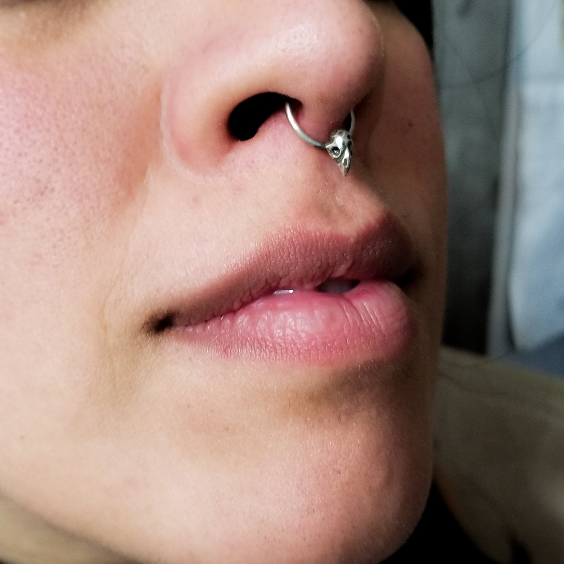 Tiny Bird Skull Septum Piercing - Inchoo Bijoux